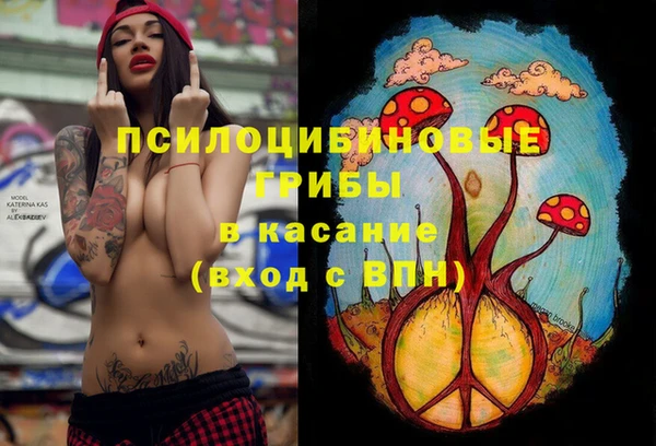 мдпв Новокубанск