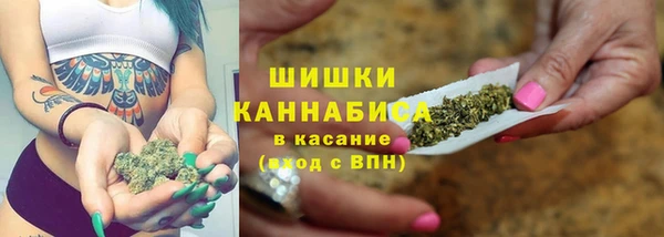 каннабис Новозыбков
