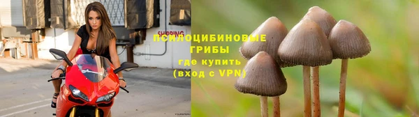 каннабис Новодвинск