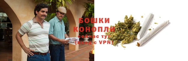 каннабис Новозыбков