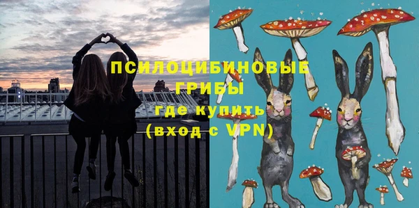 каннабис Новозыбков