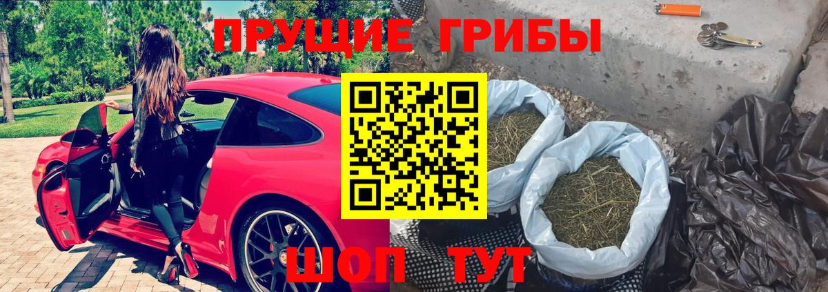 Псилоцибиновые грибы мухоморы  продажа наркотиков  Сегежа  Вход с VPN 