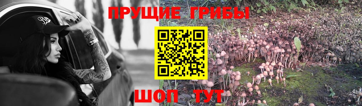 Сегежа  хочу   Вход с VPN  Галлюциногенные грибы MAGIC MUSHROOMS 